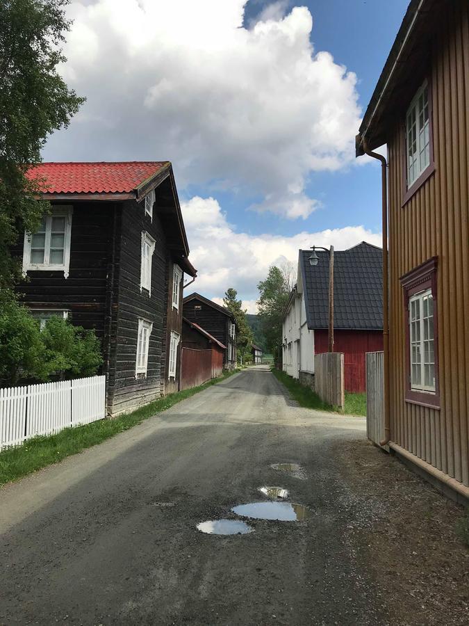 Malmplassen Bed & Breakfast Tolga ภายนอก รูปภาพ